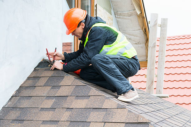 Best Roof Gutter Cleaning  in Greenville, NY